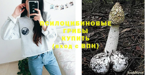 стаф Алзамай