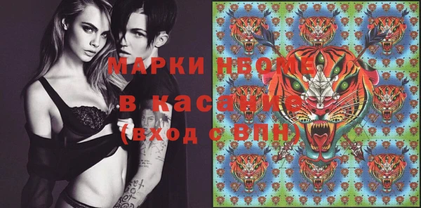 стаф Алзамай