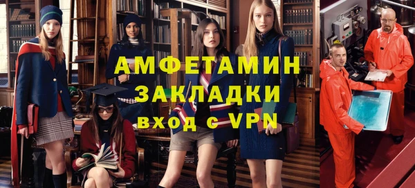 стаф Алзамай