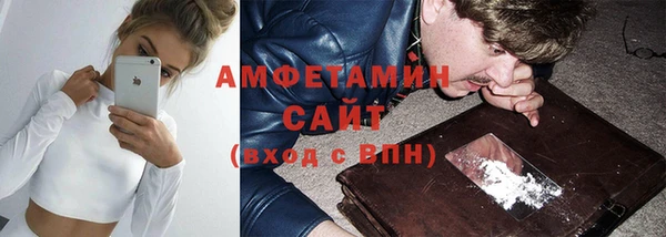 стаф Алзамай